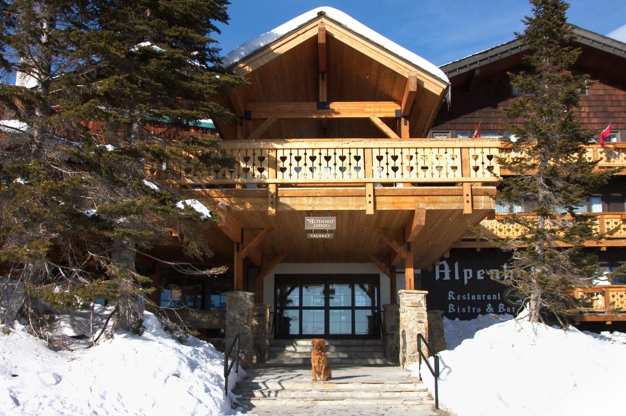 The Alpenhof Hotel Teton Village Buitenkant foto